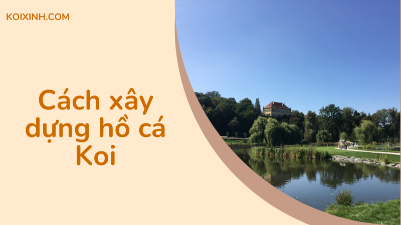 Cách Xây Dựng Hồ Cá Koi