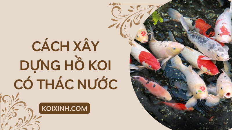 Làm Thế Nào để Xây Dựng Một Hồ Cá Koi Với Thác Nước