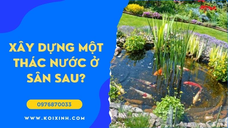 Làm Thế Nào để Xây Dựng Một Thác Nước Ao ở Sân Sau? Làm Thế Nào để Xây Dựng Một Thác Nước Ao ở Sân Sau?