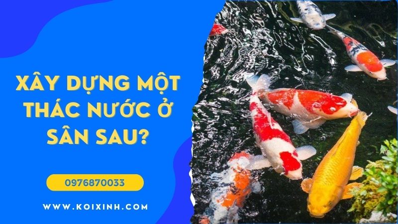 Làm Thế Nào để Xây Dựng Một Thác Nước Ao ở Sân Sau? Làm Thế Nào để Xây Dựng Một Thác Nước Ao ở Sân Sau?