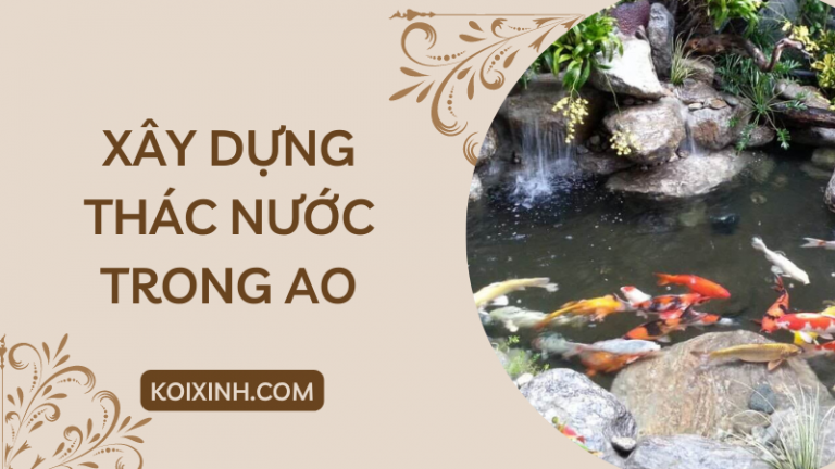 Làm Thế Nào để Xây Dựng Một Thác Nước Trong Ao Làm Thế Nào để Xây Dựng Một Thác Nước Trong Ao