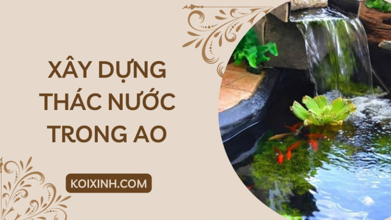 Làm Thế Nào để Xây Dựng Một Thác Nước Trong Ao Làm Thế Nào để Xây Dựng Một Thác Nước Trong Ao