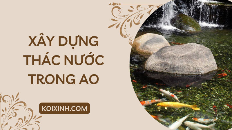 Làm Thế Nào để Xây Dựng Một Thác Nước Trong Ao