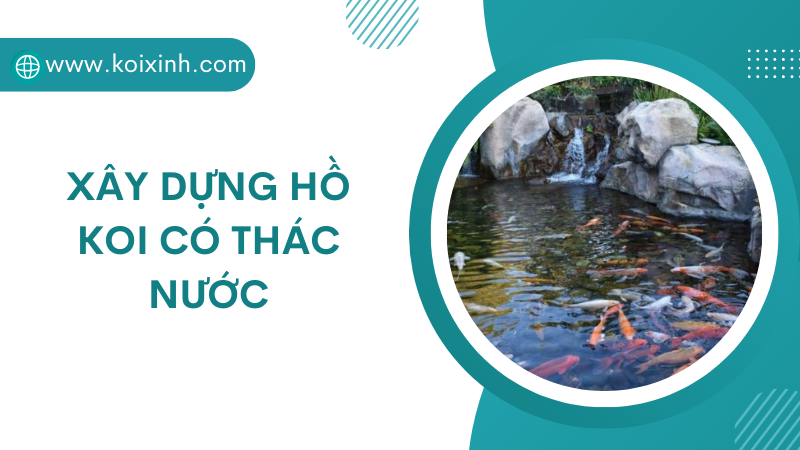 Xây Dựng Hồ Koi Có Thác Nước