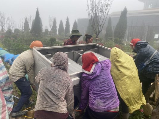 [dự án Hồ Koi đã Triển Khai] Koi Xinh Thiết Kế, Thi Công Hồ Koi + Hồ Koi Dự án Bitis Ladyhill