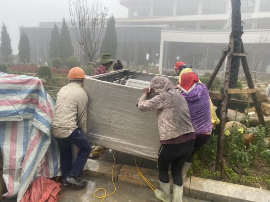 [dự án Hồ Koi đã Triển Khai] Koi Xinh Thiết Kế, Thi Công Hồ Koi + Hồ Koi Dự án Bitis Ladyhill