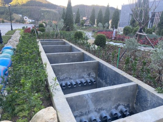 [dự án Hồ Koi đã Triển Khai] Koi Xinh Thiết Kế, Thi Công Hồ Koi + Hồ Koi Dự án Bitis Ladyhill