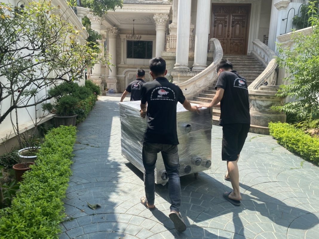 [dự án Hồ Koi đã Triển Khai] Koi Xinh Thiết Kế, Thi Công Hồ Koi + Hồ Koi Lâu đài Dệt May Châu Giang Nam Định