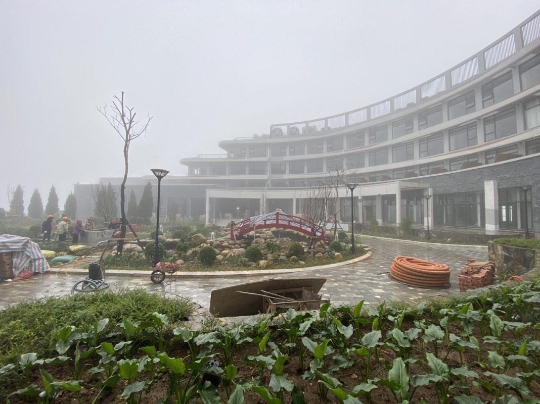 [dự án Hồ Koi đã Triển Khai] Koi Xinh Thiết Kế, Thi Công Hồ Koi + Hồ Koi Dự án Bitis Ladyhills Sapa