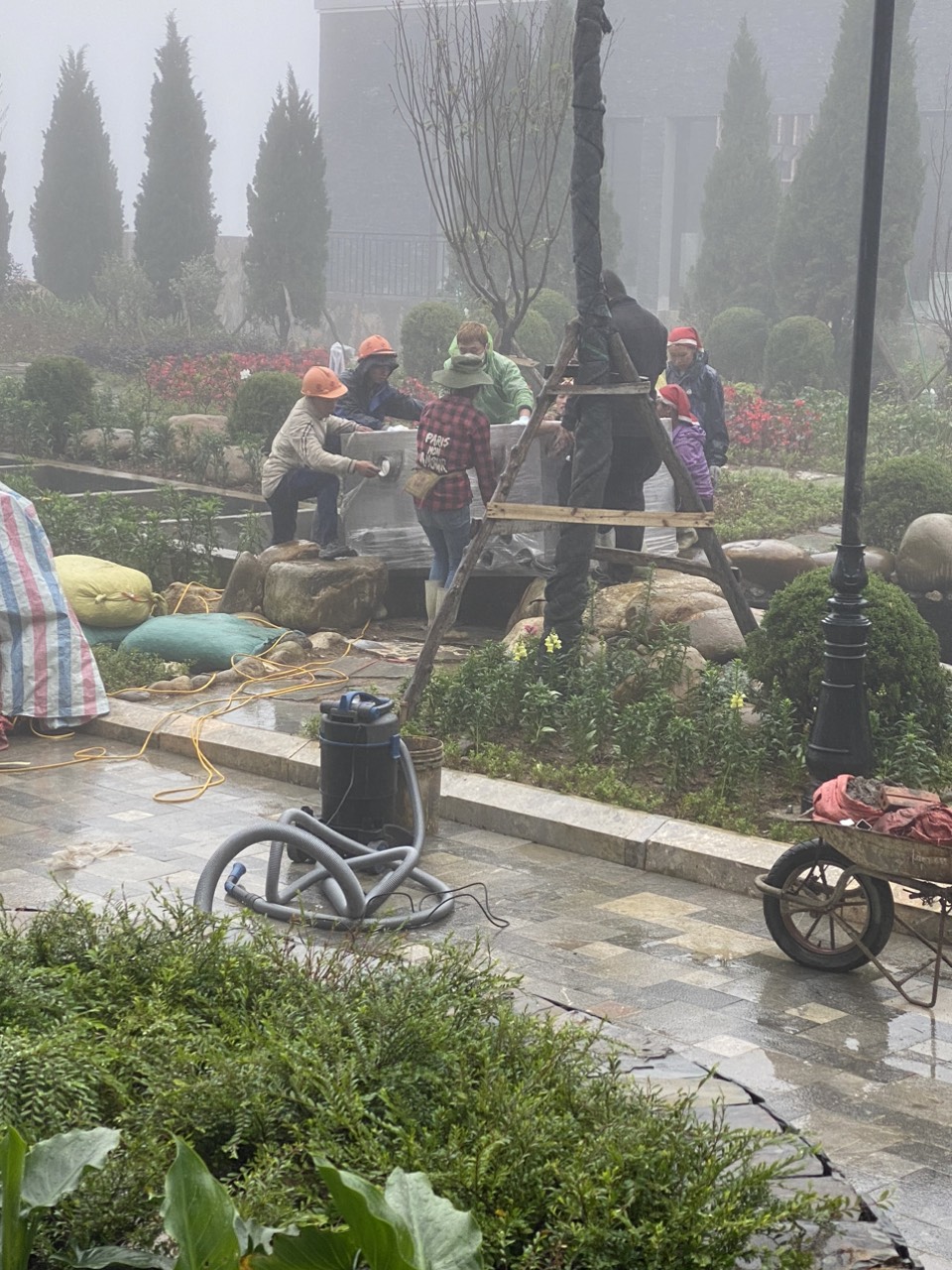 [dự án Hồ Koi đã Triển Khai] Koi Xinh Thiết Kế, Thi Công Hồ Koi + Hồ Koi Dự án Bitis Ladyhills Sapa