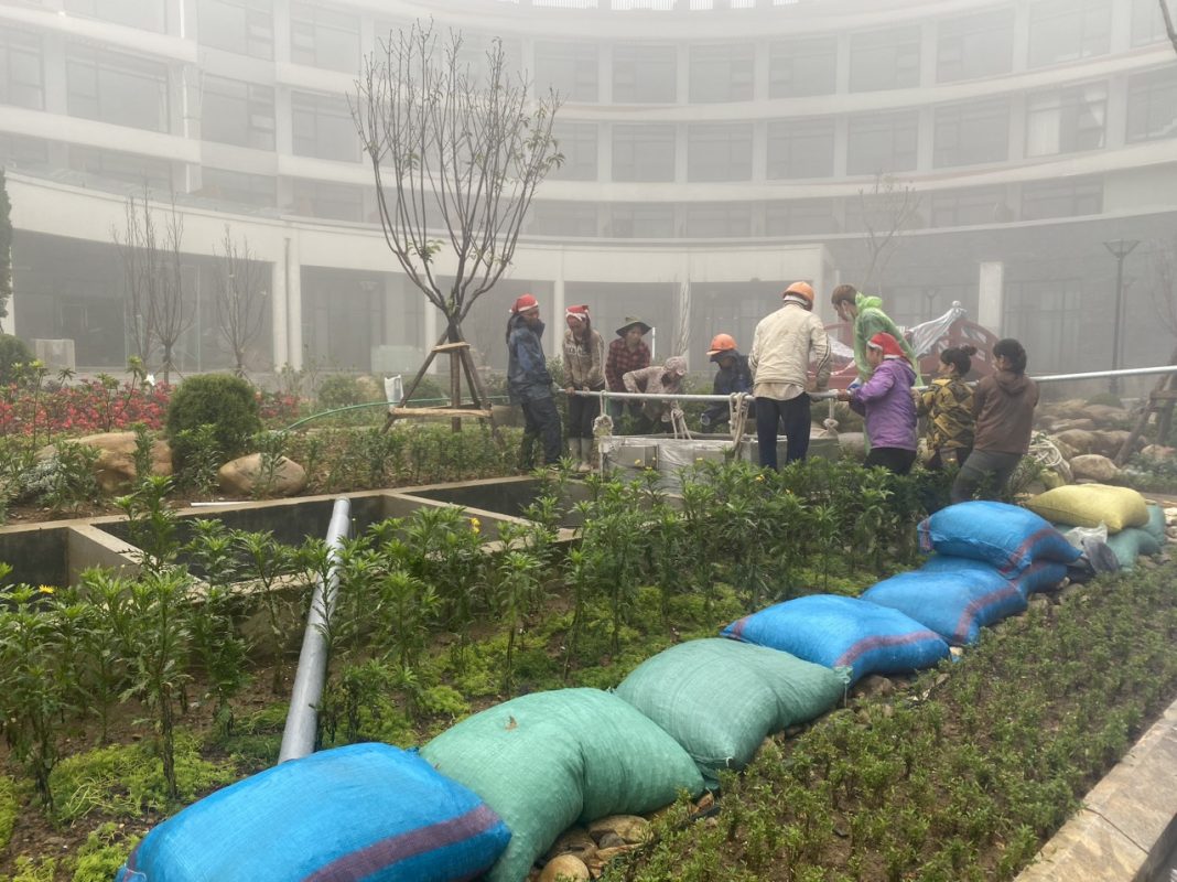 [dự án Hồ Koi đã Triển Khai] Koi Xinh Thiết Kế, Thi Công Hồ Koi + Hồ Koi Dự án Bitis Ladyhills Sapa