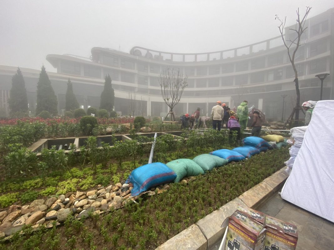 [dự án Hồ Koi đã Triển Khai] Koi Xinh Thiết Kế, Thi Công Hồ Koi + Hồ Koi Dự án Bitis Ladyhills Sapa