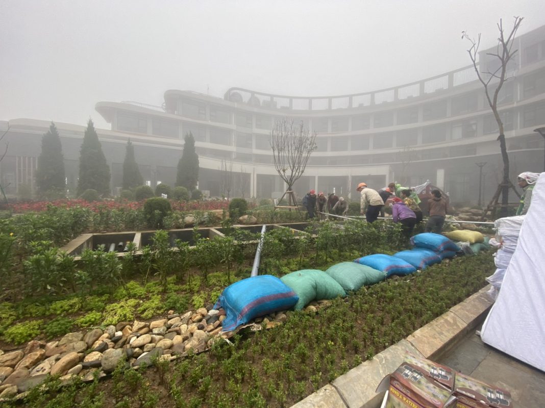 [dự án Hồ Koi đã Triển Khai] Koi Xinh Thiết Kế, Thi Công Hồ Koi + Hồ Koi Dự án Bitis Ladyhills Sapa