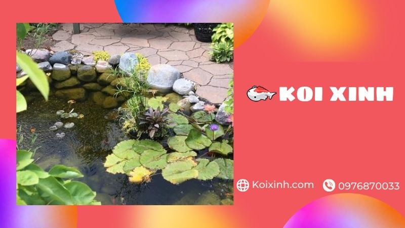 Bắc Giang Thi Công Hồ Cá Koi Uy Tín, Bảo Hành – Gọi 0976870033