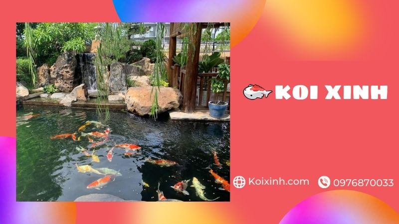 Bắc Giang Thi Công Hồ Cá Koi Uy Tín, Bảo Hành – Gọi 0976870033