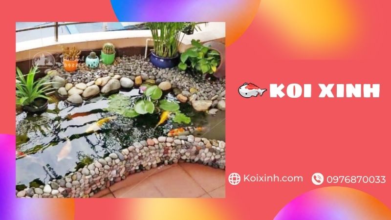 Bắc Giang Thi Công Hồ Cá Koi Uy Tín, Bảo Hành – Gọi 0976870033