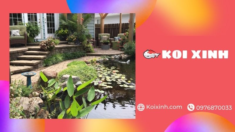 Bắc Giang Thi Công Hồ Cá Koi Uy Tín, Bảo Hành – Gọi 0976870033