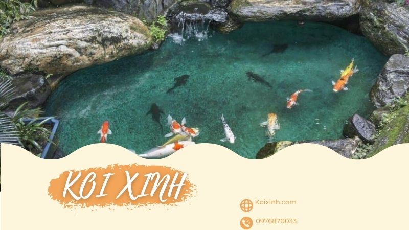 Bắc Kạn Thi Công Thiết Kế Hồ Cá Koi Giá Rẻ, Bảo Hành – Gọi 0976870033 Bắc Kạn Thi Công Thiết Kế Hồ Cá Koi Giá Rẻ, Bảo Hành – Gọi 0976870033