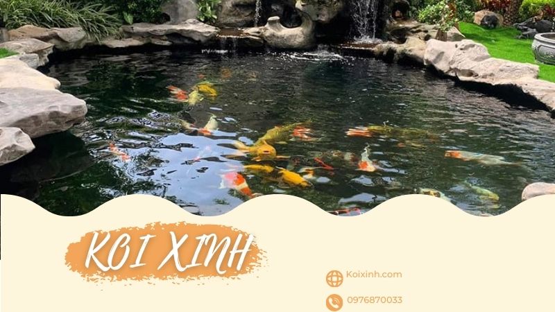 Bắc Kạn Thi Công Thiết Kế Hồ Cá Koi Giá Rẻ, Bảo Hành – Gọi 0976870033 Bắc Kạn Thi Công Thiết Kế Hồ Cá Koi Giá Rẻ, Bảo Hành – Gọi 0976870033