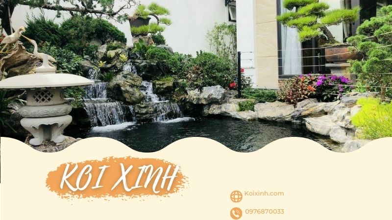 Bắc Kạn Thi Công Thiết Kế Hồ Cá Koi Giá Rẻ, Bảo Hành – Gọi 0976870033 Bắc Kạn Thi Công Thiết Kế Hồ Cá Koi Giá Rẻ, Bảo Hành – Gọi 0976870033