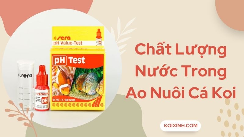Chất Lượng Nước Trong Ao Nuôi Cá Koi