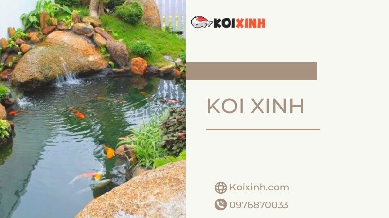 Chuyên Thi Công Thiết Kế Hồ Cá Koi Uy Tín, Giá Rẻ Tại Hà Nội – Gọi 0976870033 Chuyên Thi Công Thiết Kế Hồ Cá Koi Uy Tín, Giá Rẻ Tại Hà Nội – Gọi 0976870033