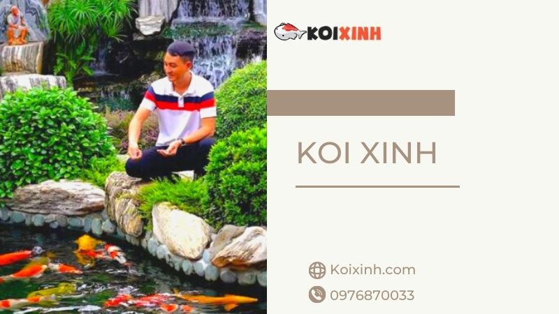 Chuyên Thi Công Thiết Kế Hồ Cá Koi Uy Tín, Giá Rẻ Tại Hà Nội – Gọi 0976870033 Chuyên Thi Công Thiết Kế Hồ Cá Koi Uy Tín, Giá Rẻ Tại Hà Nội – Gọi 0976870033