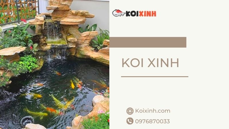 Chuyên Thi Công Thiết Kế Hồ Cá Koi Uy Tín, Giá Rẻ Tại Hà Nội – Gọi 0976870033 Chuyên Thi Công Thiết Kế Hồ Cá Koi Uy Tín, Giá Rẻ Tại Hà Nội – Gọi 0976870033