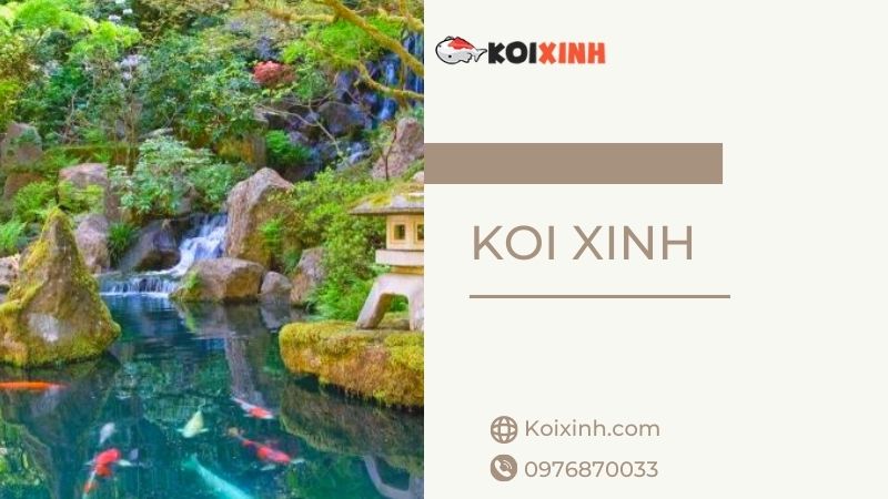 Chuyên Thi Công Thiết Kế Hồ Cá Koi Uy Tín, Giá Rẻ Tại Hà Nội – Gọi 0976870033 Chuyên Thi Công Thiết Kế Hồ Cá Koi Uy Tín, Giá Rẻ Tại Hà Nội – Gọi 0976870033