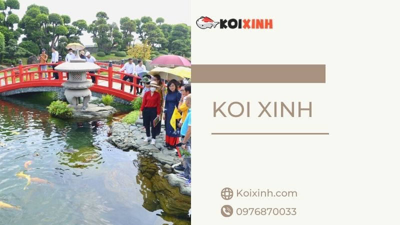 Chuyên Thi Công Thiết Kế Hồ Cá Koi Uy Tín, Giá Rẻ Tại Hà Nội – Gọi 0976870033 Chuyên Thi Công Thiết Kế Hồ Cá Koi Uy Tín, Giá Rẻ Tại Hà Nội – Gọi 0976870033
