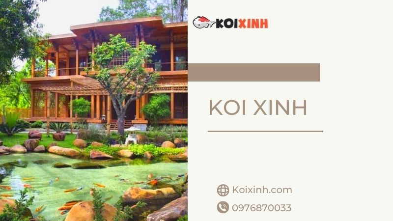Chuyên Thi Công Thiết Kế Hồ Cá Koi Uy Tín, Giá Rẻ Tại Hà Nội – Gọi 0976870033