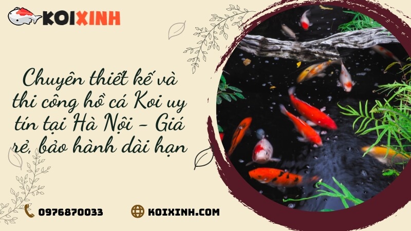 Chuyên Thiết Kế Và Thi Công Hồ Cá Koi Uy Tín Tại Hà Nội – Giá Rẻ, Bảo Hành Dài Hạn Chuyên Thiết Kế Và Thi Công Hồ Cá Koi Uy Tín Tại Hà Nội – Giá Rẻ, Bảo Hành Dài Hạn