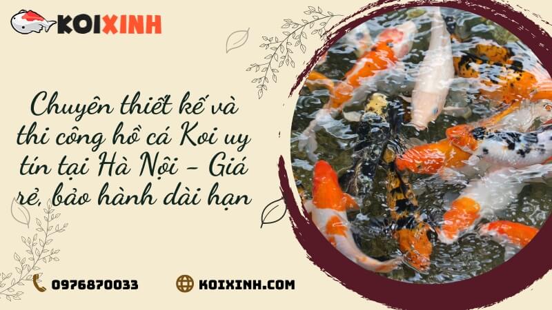 Chuyên Thiết Kế Và Thi Công Hồ Cá Koi Uy Tín Tại Hà Nội – Giá Rẻ, Bảo Hành Dài Hạn Chuyên Thiết Kế Và Thi Công Hồ Cá Koi Uy Tín Tại Hà Nội – Giá Rẻ, Bảo Hành Dài Hạn