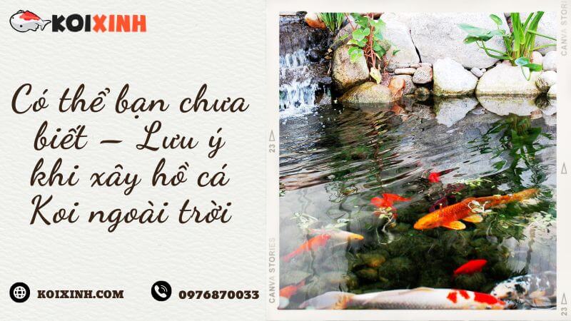 Có Thể Bạn Chưa Biết – Lưu ý Khi Xây Hồ Cá Koi Ngoài Trời Có Thể Bạn Chưa Biết – Lưu ý Khi Xây Hồ Cá Koi Ngoài Trời