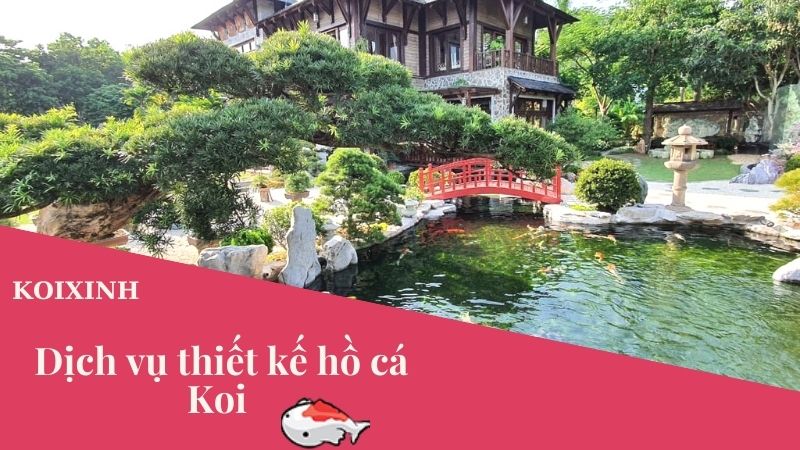 Dịch Vụ Tư Vấn Thiết Kế Thi Công Hồ Cá Koi – Bảo Hành Dài Hạn, Uy Tín Dịch Vụ Tư Vấn Thiết Kế Thi Công Hồ Cá Koi – Bảo Hành Dài Hạn, Uy Tín