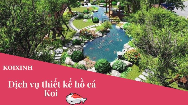Dịch Vụ Tư Vấn Thiết Kế Thi Công Hồ Cá Koi – Bảo Hành Dài Hạn, Uy Tín Dịch Vụ Tư Vấn Thiết Kế Thi Công Hồ Cá Koi – Bảo Hành Dài Hạn, Uy Tín