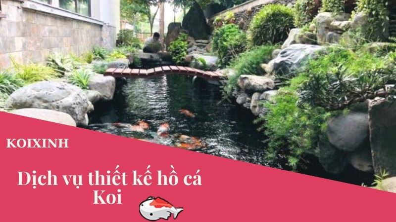 Dịch Vụ Tư Vấn Thiết Kế Thi Công Hồ Cá Koi – Bảo Hành Dài Hạn, Uy Tín Dịch Vụ Tư Vấn Thiết Kế Thi Công Hồ Cá Koi – Bảo Hành Dài Hạn, Uy Tín