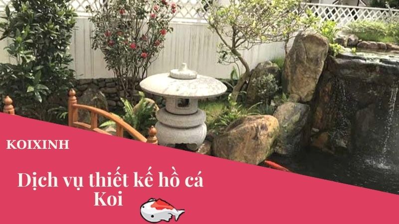 Dịch Vụ Tư Vấn Thiết Kế Thi Công Hồ Cá Koi – Bảo Hành Dài Hạn, Uy Tín Dịch Vụ Tư Vấn Thiết Kế Thi Công Hồ Cá Koi – Bảo Hành Dài Hạn, Uy Tín