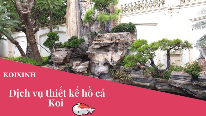 Dịch Vụ Tư Vấn Thiết Kế Thi Công Hồ Cá Koi – Bảo Hành Dài Hạn, Uy Tín Dịch Vụ Tư Vấn Thiết Kế Thi Công Hồ Cá Koi – Bảo Hành Dài Hạn, Uy Tín
