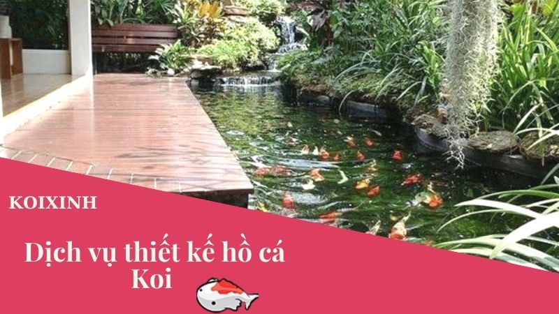 Dịch Vụ Tư Vấn Thiết Kế Thi Công Hồ Cá Koi – Bảo Hành Dài Hạn, Uy Tín Dịch Vụ Tư Vấn Thiết Kế Thi Công Hồ Cá Koi – Bảo Hành Dài Hạn, Uy Tín