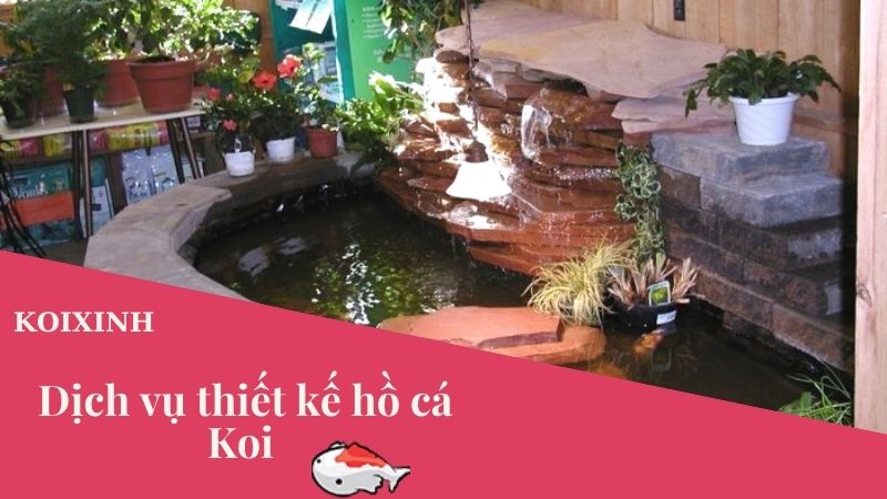 Dịch Vụ Tư Vấn Thiết Kế Thi Công Hồ Cá Koi – Bảo Hành Dài Hạn, Uy Tín Dịch Vụ Tư Vấn Thiết Kế Thi Công Hồ Cá Koi – Bảo Hành Dài Hạn, Uy Tín