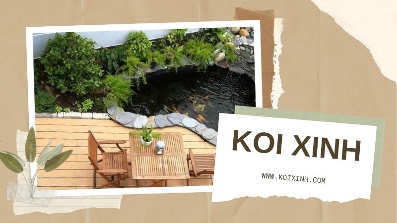 Dịch Vụ Thiết Kế Thi Công Hồ Cá Koi Trong Nhà Uy Tín, Chất Lượng Tại Hà Nội