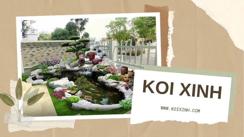 Dịch Vụ Thiết Kế Thi Công Hồ Cá Koi Trong Nhà Uy Tín, Chất Lượng Tại Hà Nội