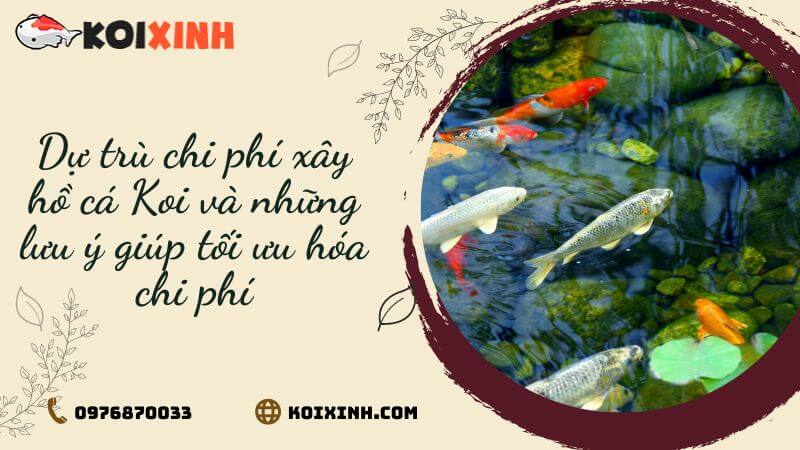 Dự Trù Chi Phí Xây Hồ Cá Koi Và Những Lưu ý Giúp Tối ưu Hóa Chi Phí Dự Trù Chi Phí Xây Hồ Cá Koi Và Những Lưu ý Giúp Tối ưu Hóa Chi Phí