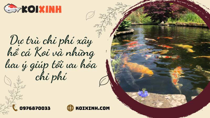 Dự Trù Chi Phí Xây Hồ Cá Koi Và Những Lưu ý Giúp Tối ưu Hóa Chi Phí Dự Trù Chi Phí Xây Hồ Cá Koi Và Những Lưu ý Giúp Tối ưu Hóa Chi Phí