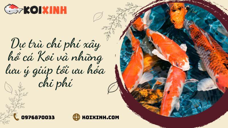Dự Trù Chi Phí Xây Hồ Cá Koi Và Những Lưu ý Giúp Tối ưu Hóa Chi Phí