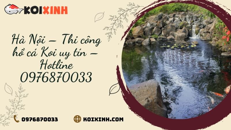 Hà Nội – Thi Công Hồ Cá Koi Uy Tín – Hotline 0976870033