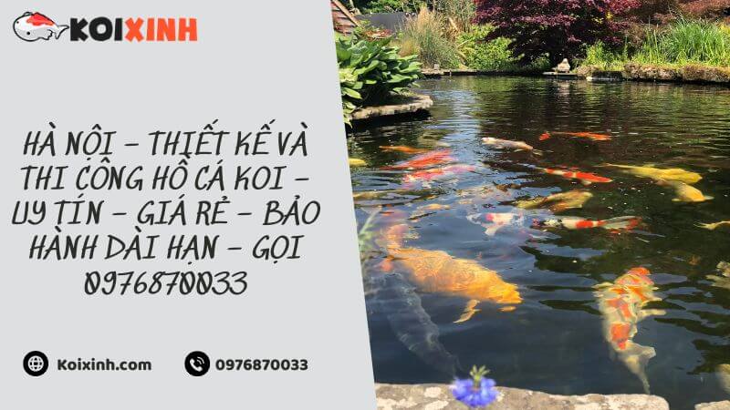 Hà Nội – Thiết Kế Và Thi Công Hồ Cá Koi – Uy Tín – Giá Rẻ – Bảo Hành Dài Hạn – Gọi 0976870033 Hà Nội – Thiết Kế Và Thi Công Hồ Cá Koi – Uy Tín – Giá Rẻ – Bảo Hành Dài Hạn – Gọi 0976870033