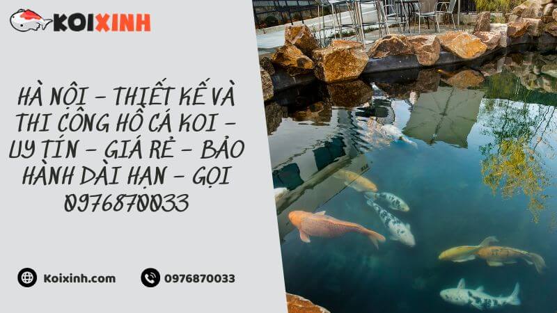 Hà Nội – Thiết Kế Và Thi Công Hồ Cá Koi – Uy Tín – Giá Rẻ – Bảo Hành Dài Hạn – Gọi 0976870033
