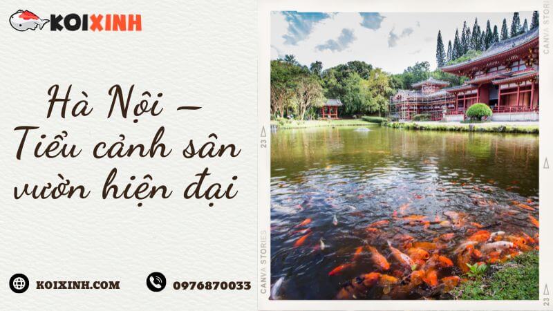 Hà Nội – Tiểu Cảnh Sân Vườn Hiện đại Hà Nội – Tiểu Cảnh Sân Vườn Hiện đại